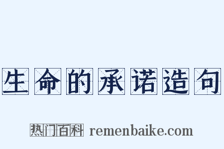 生命的承诺造句是什么意思的图片